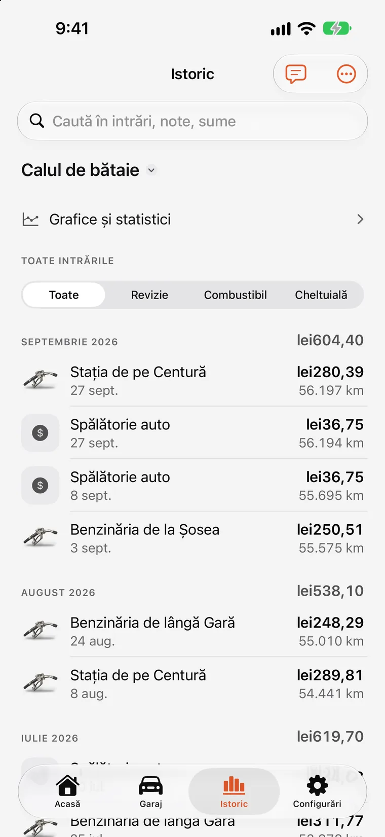 Grafice SteerLog: bare cu cheltuielile lunare și linia de tendință a consumului, construite din înregistrări.